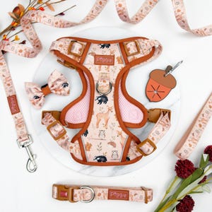 Op de afbeelding: Een set voor honden met een tuigje, riem, halsband en vlinderdas met een bosdierenpatroon in roze en bruin. Het tuigje heeft bruine randen en de merknaam "Piggie". Een eikelvormig label is ook inbegrepen.