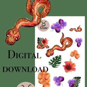 Op de afbeelding: Digitale download van een set illustraties met slangen, bloemen en tropische bladeren. De illustraties zijn in aquarelstijl en bevatten verschillende kleuren, waaronder oranje, roze, paars en groen. De tekst "Taurus Cut Studios" en "Snakes" is ook in de afbeelding opgenomen.