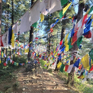 Tibetan Prayer Flags: Lungta Wind Horse Flags, Hand Printed Cotton Blend