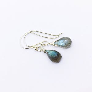 May include: A pair of silver dangle earrings with teardrop-shaped labradorite gemstones.