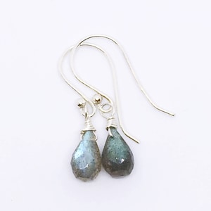 May include: A pair of silver dangle earrings with teardrop-shaped labradorite stones.
