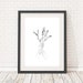 see more listings in the Botanical Art Prints section