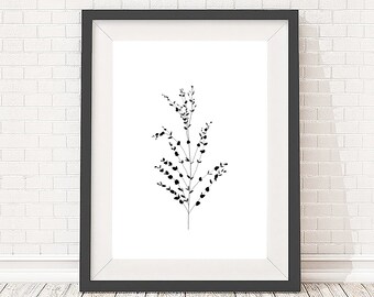 Black and white plant illustration, 5x7, A5, 8x10, A4, 11x14 and A3 sizes available