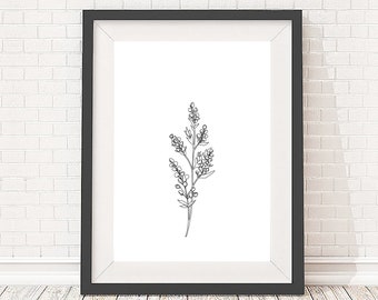 Botanical wildflower illustration, black and white art print, 5x7, A5, 8x10, A4, 11x14 and A3 sizes available
