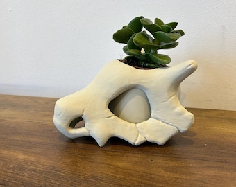 Cubone skull planter