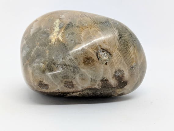 petoskey stone polished rock
