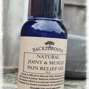 Natural Joint & Muscle Pain Relief Gel image 2