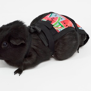 Watermelon Guinea Pig Diaper – Adjustable Cotton Blend Pants