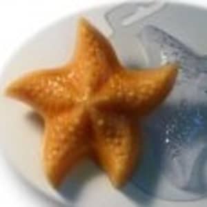 May include: A yellow-orange starfish-shaped silicone mold for making soap or other crafts.