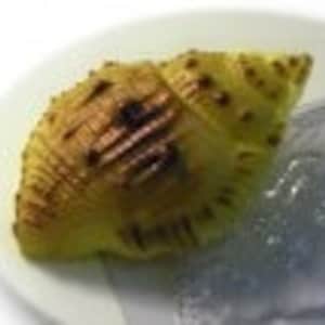 May include: A golden brown, shell-shaped pastry with a slightly textured surface.