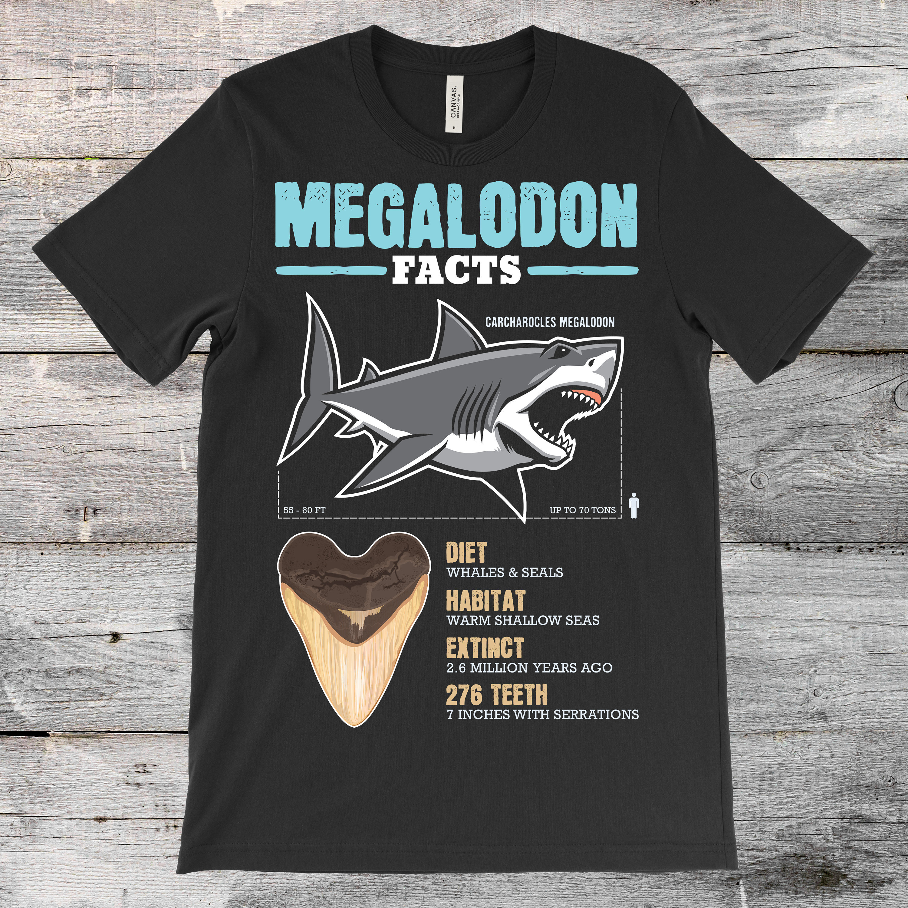 Megalodon Facts Shark Teeth T Shirt Sharks Lover Gift