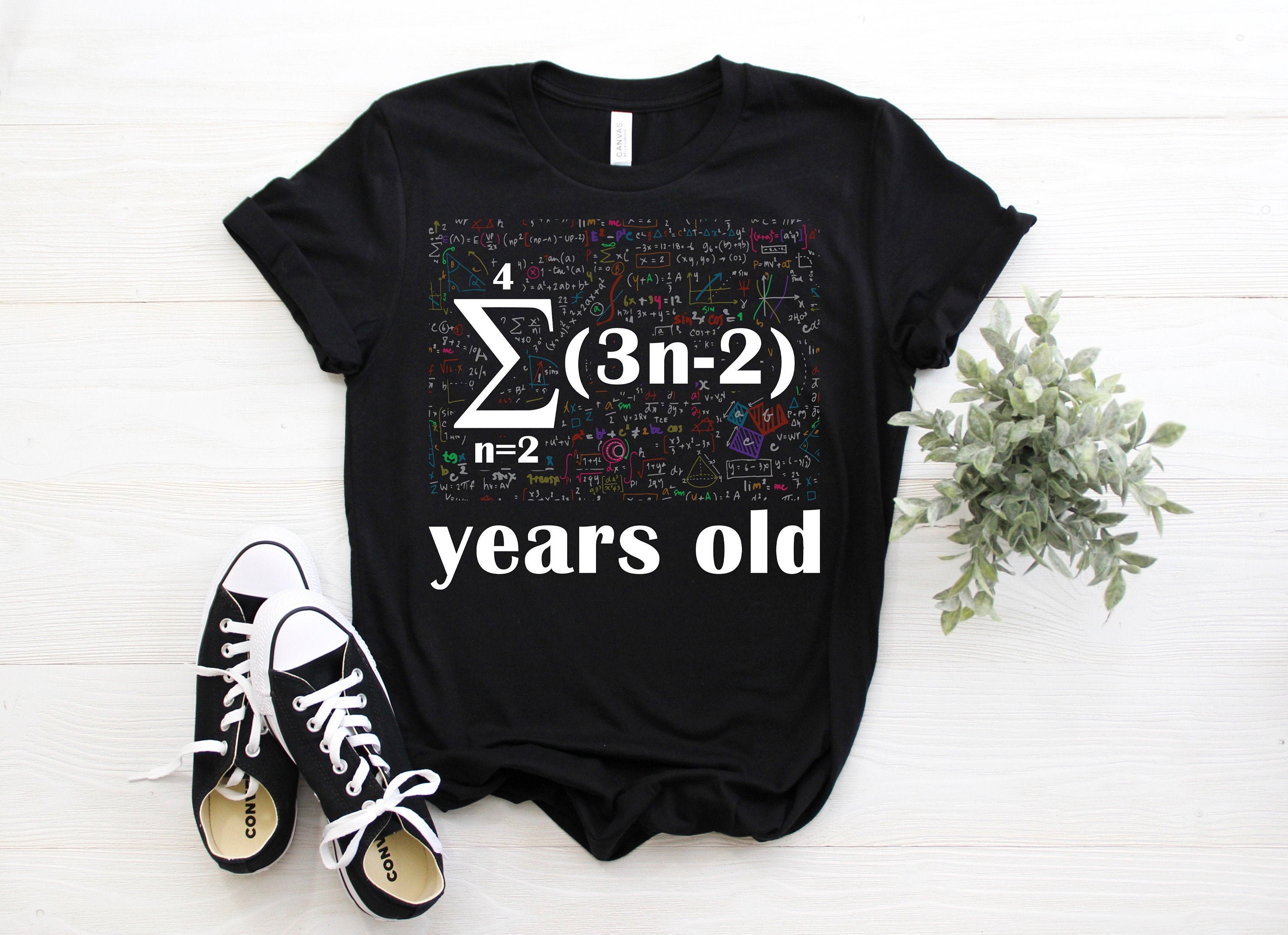 Square Root of 169 21 Years Old Official Teenager Birthday T-shirt