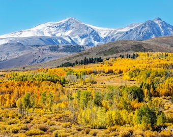 Fall in the Eastern Sierra Mountains