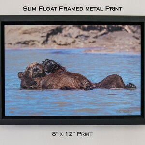 May include: A slim float framed metal print of two brown bears cuddling in a blue body of water. The print is 8 inches by 12 inches.