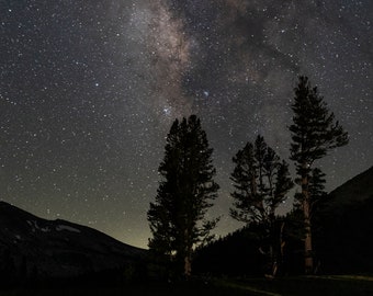 Milky Way and Pines 2