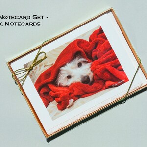 May include: A boxed set of 5 blank notecards featuring a white dog with a red blanket over its head. The box is tied with a gold ribbon.