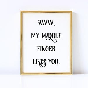 Pu&ograve; includere: Una stampa incorniciata dorata con il testo "AWW, MY MIDDLE FINGER LIKES YOU."