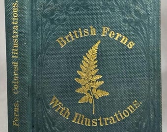 1860 British Ferns: Antique Victorian Natural History Book w/ Hand Colored Botany Plates, Lankester