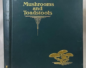 1927 Mushrooms and Toadstools: Vintage Canada Fungi Natural History Botany Book