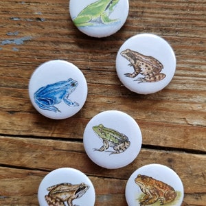 Fridge magnets "Frogs"