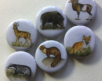 Aimants pour réfrigérateur "Animaux de la forêt II" lot de 6