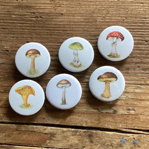 Mushrooms fridge magnets Set of 6 image 1