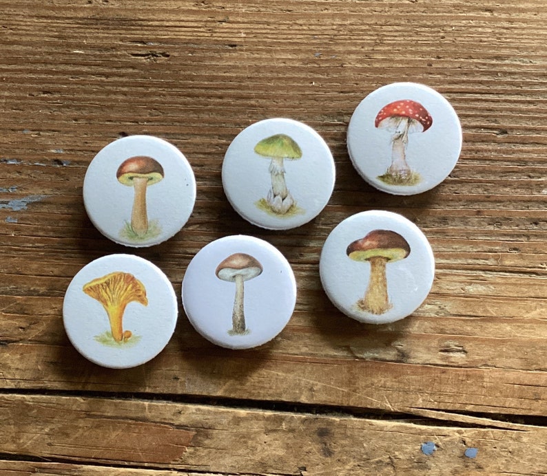 Mushrooms fridge magnets Set of 6 image 1