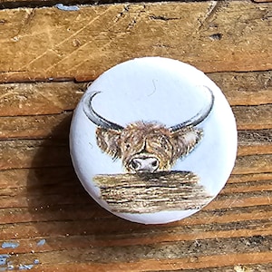 Fridge magnet highland cattle