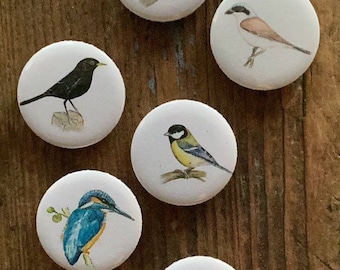 Magnets birds 3