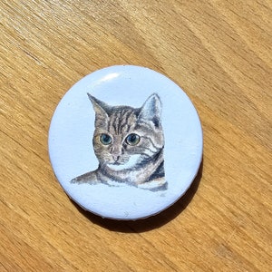 Fridge magnet cat
