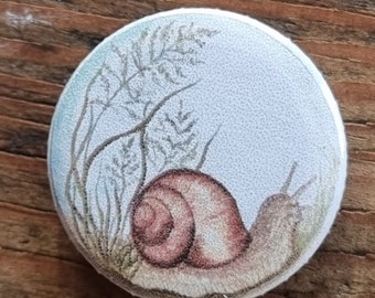 Kühlschrankmagnet Weinbergschnecke