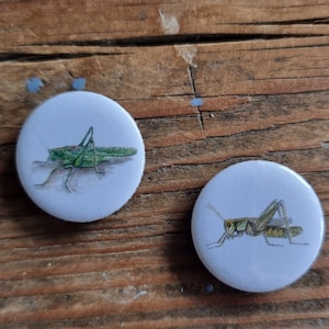 Grasshopper fridge magnets