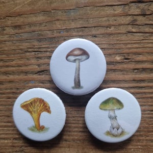 Mushrooms fridge magnets Set of 6 image 2