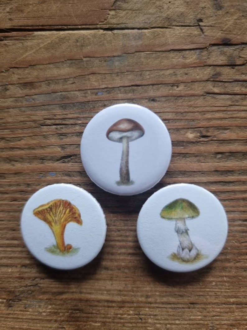 Mushrooms fridge magnets Set of 6 image 2