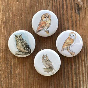 Magneten &quot;Uilen&quot; set van 4