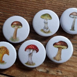 Mushrooms fridge magnets Set of 6 image 4