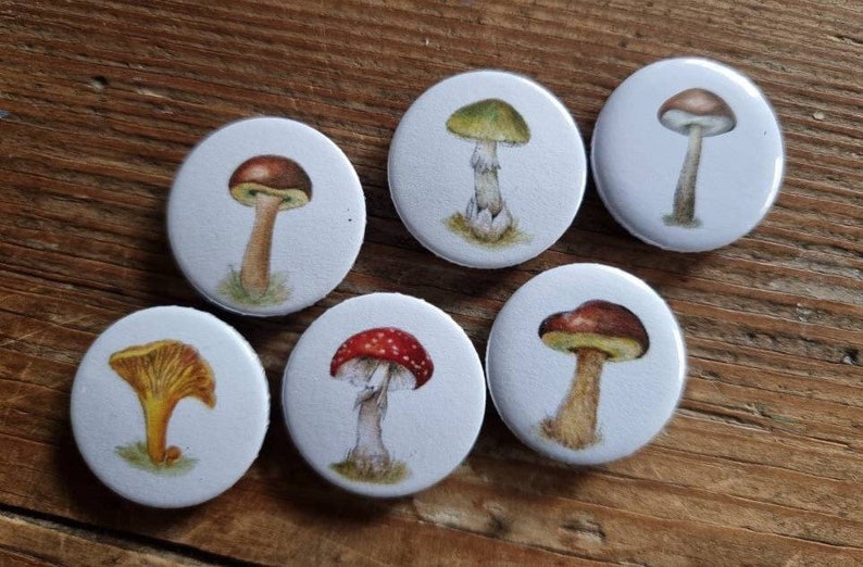 Mushrooms fridge magnets Set of 6 image 4
