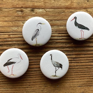 Fridge magnets "Stork & Co" set of 4