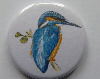 Magnet Eisvogel