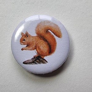 Fridge magnet or button &quot;Squirrel&quot;