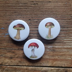 Mushrooms fridge magnets Set of 6 image 3