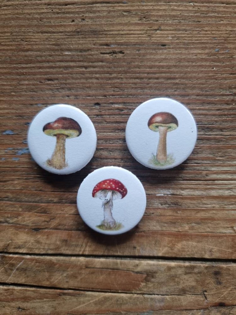 Mushrooms fridge magnets Set of 6 image 3