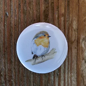 Fridge magnet or button “Robin”