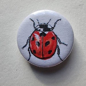 Fridge magnet “Ladybug”