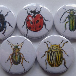 Fridge Magnets &quot;Beetle&quot; Set of 5