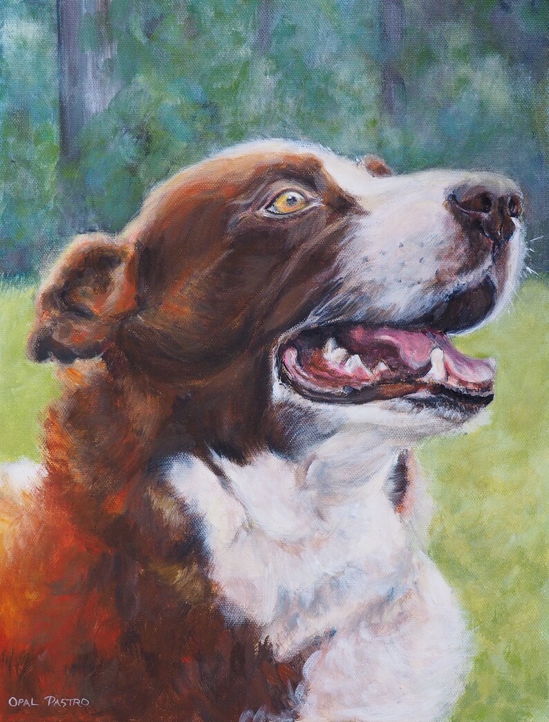 Customised Dog Art Original Oil Painting Custom Pet Portrait From Your Photo On Gallery Wrap Canvas Australian Art Pet Portraits Art Collectibles Kromasol Com