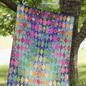 Ausstrahlung Quilt Kit mit langsam und stetig von Tula Pink
