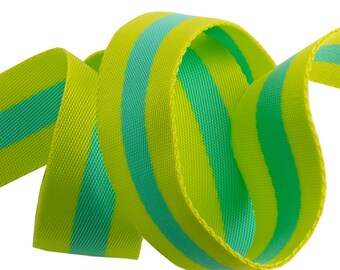 Tula Pink Lime and Turquoise Nylon Webbing 2yd