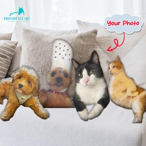 Haustierkissen vom Foto, maßgeschneiderte Tierkissen, personalisiertes Hundekissen vom Foto, individuell geformter Hund, Erinnerungsgeschenk für den Hund