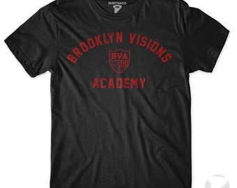 Brooklyn Visions Academy